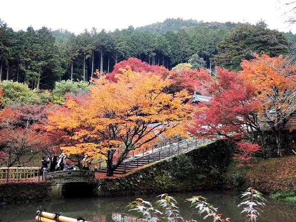 円通寺池の周囲紅葉