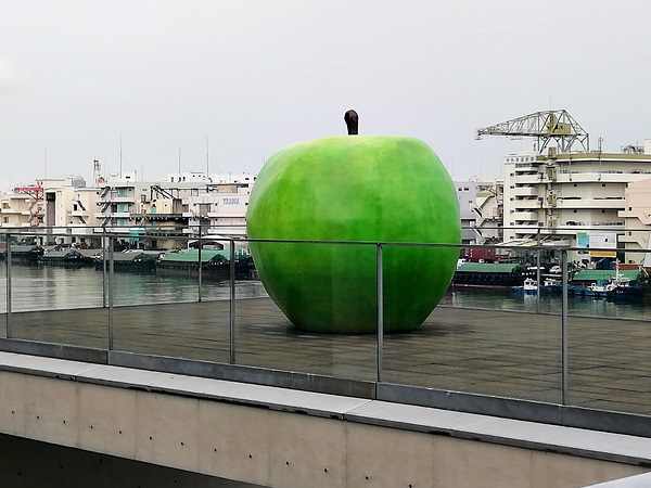 兵庫県立美術館青りんご