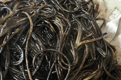 無印良品のいかすみパスタ