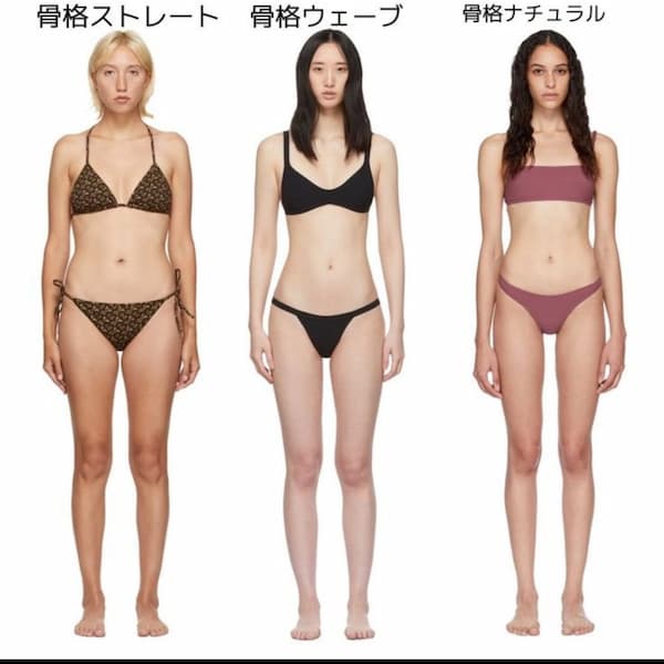 骨格診断3つのタイプ