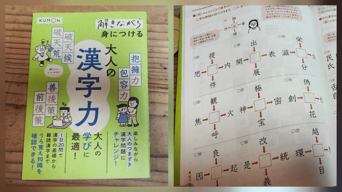 大人の漢字ドリル