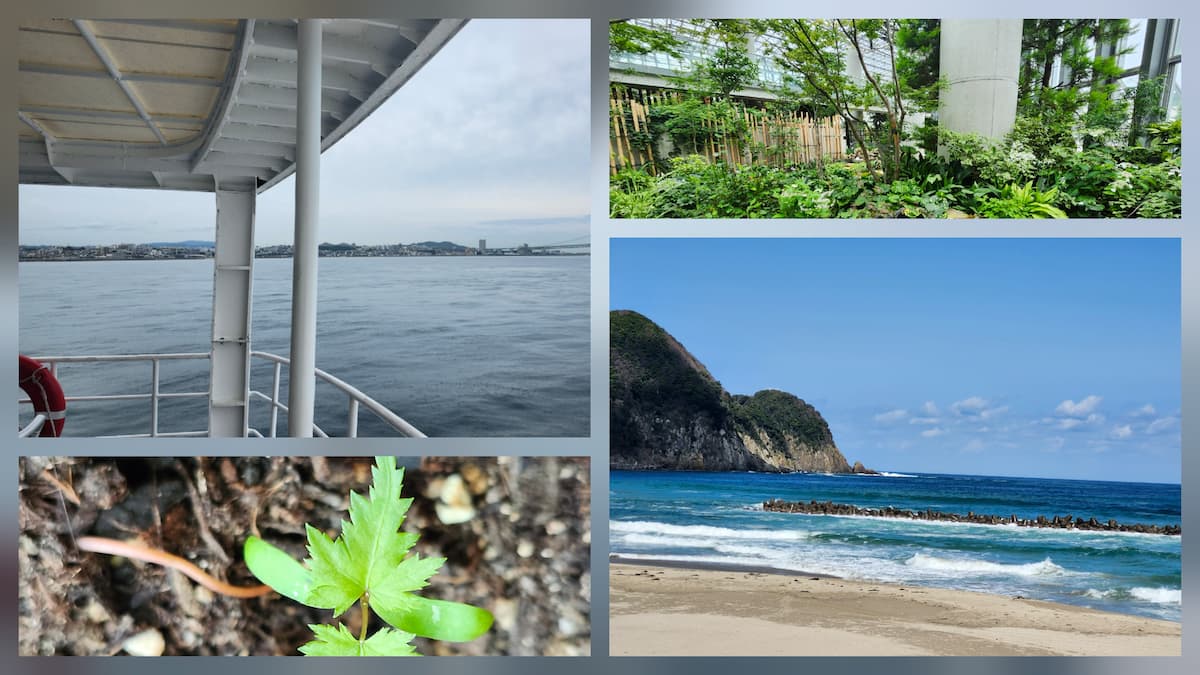 兵庫県のお出かけ観光地